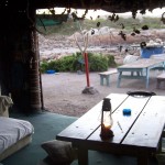 View of "The Island" from the Beach Bar